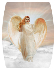 DAREC 118 BZ Angel Clouds Bronze